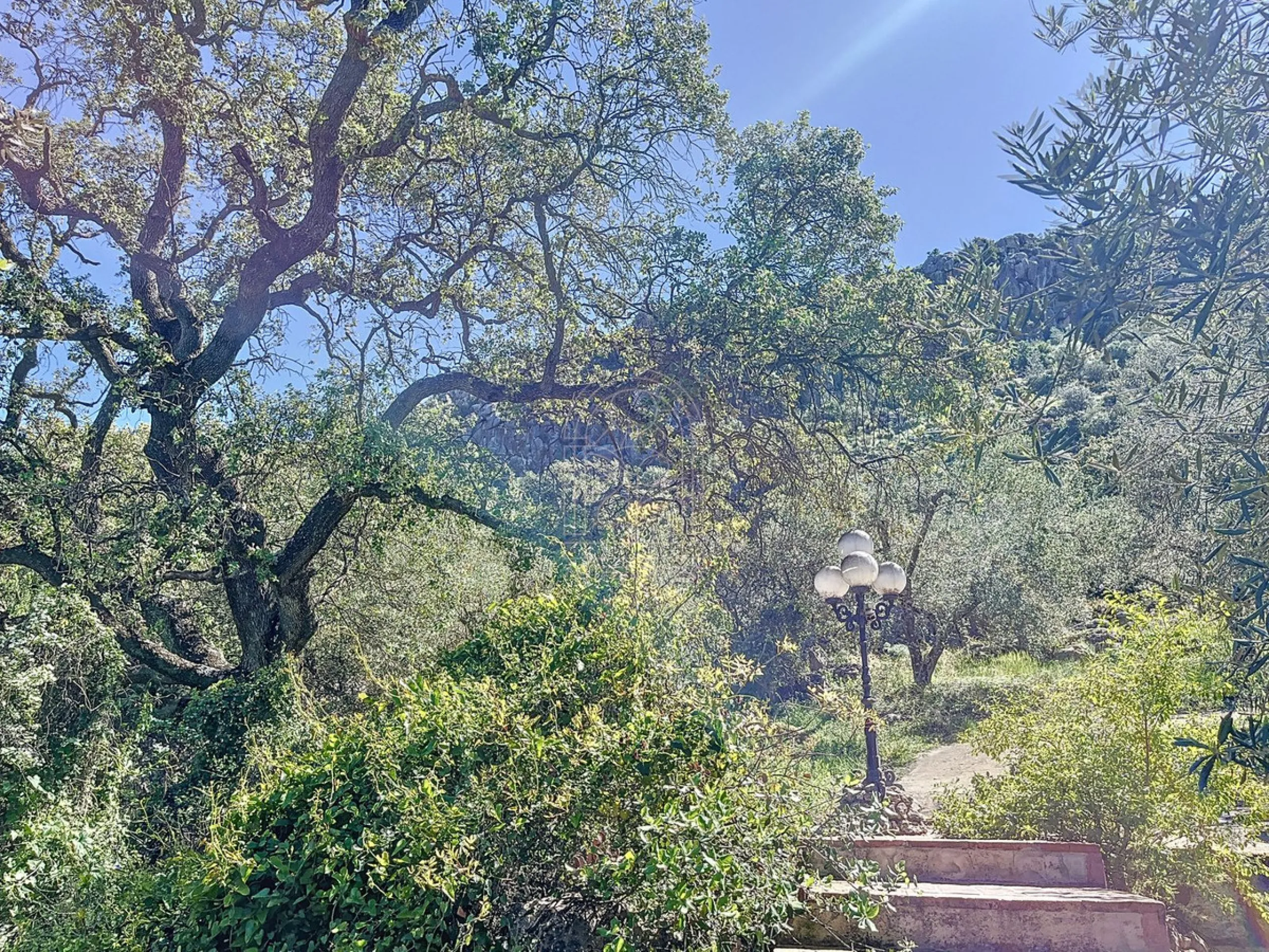 Discover Casa Feng Shui: A Unique Sanctuary in Comares
