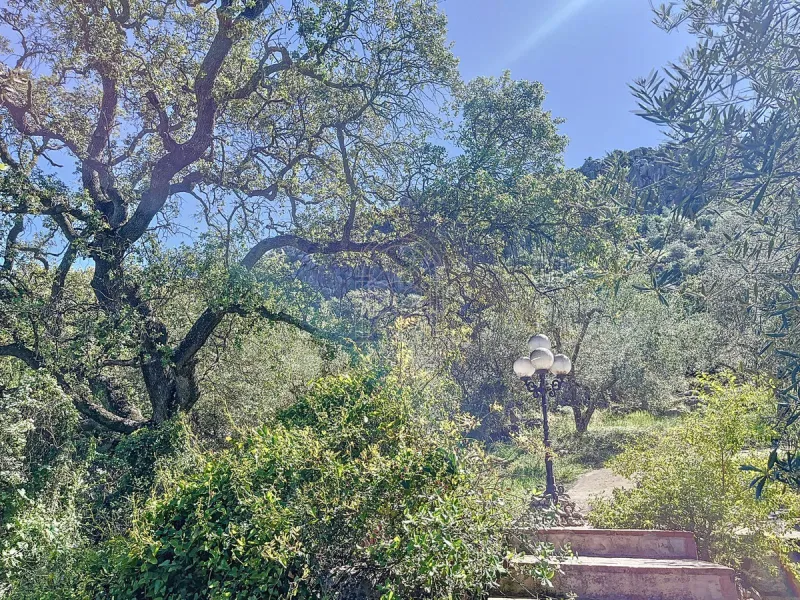 Discover Casa Feng Shui: A Unique Sanctuary in Comares