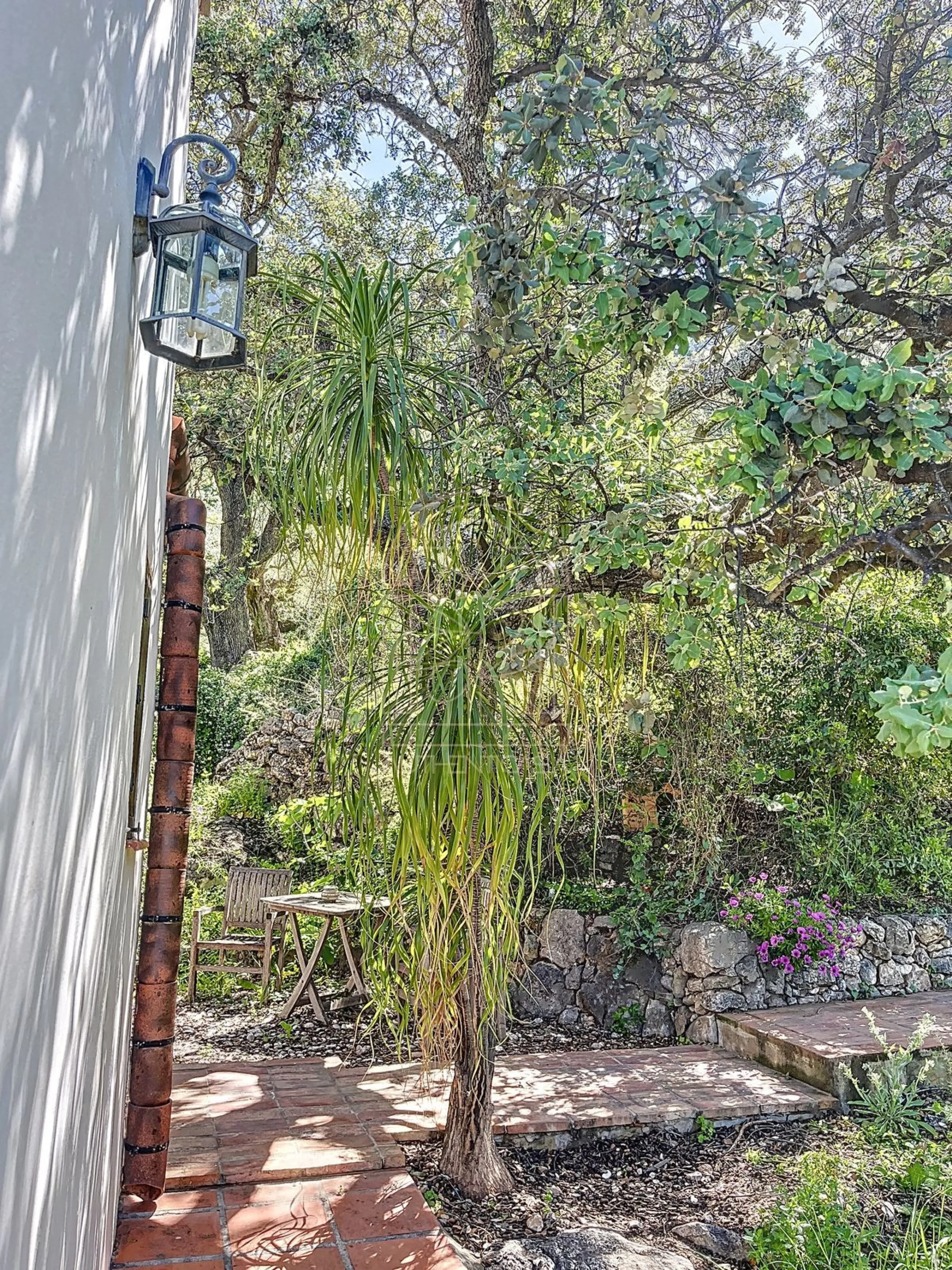 Discover Casa Feng Shui: A Unique Sanctuary in Comares