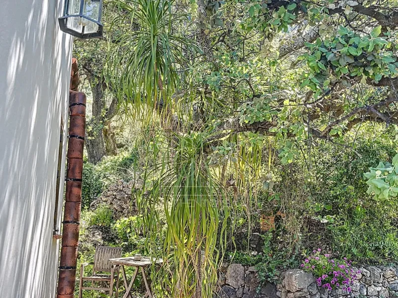 Discover Casa Feng Shui: A Unique Sanctuary in Comares