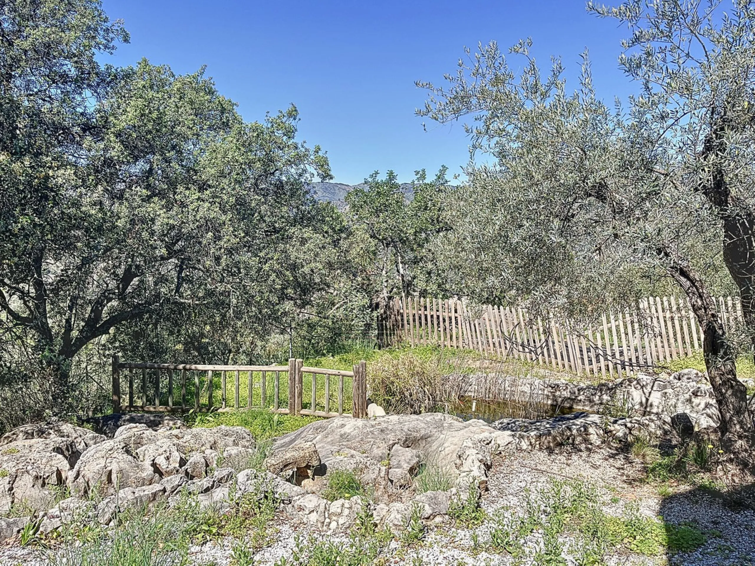 Discover Casa Feng Shui: A Unique Sanctuary in Comares