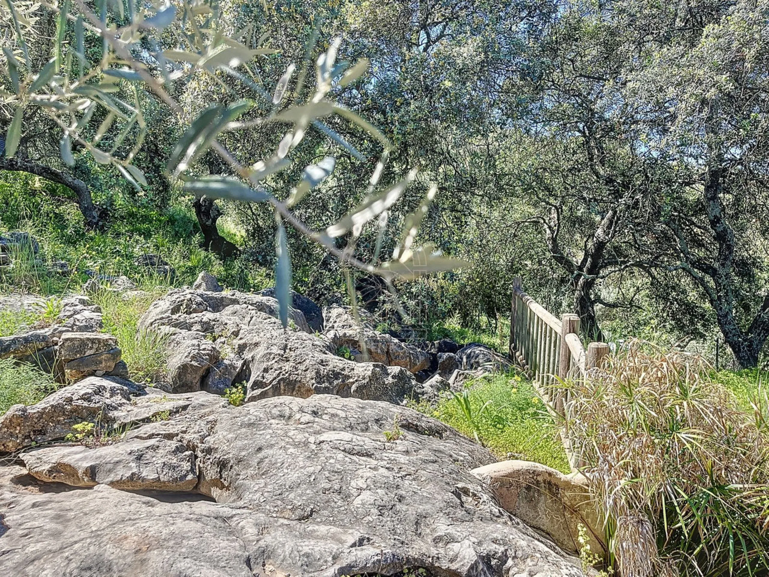 Discover Casa Feng Shui: A Unique Sanctuary in Comares