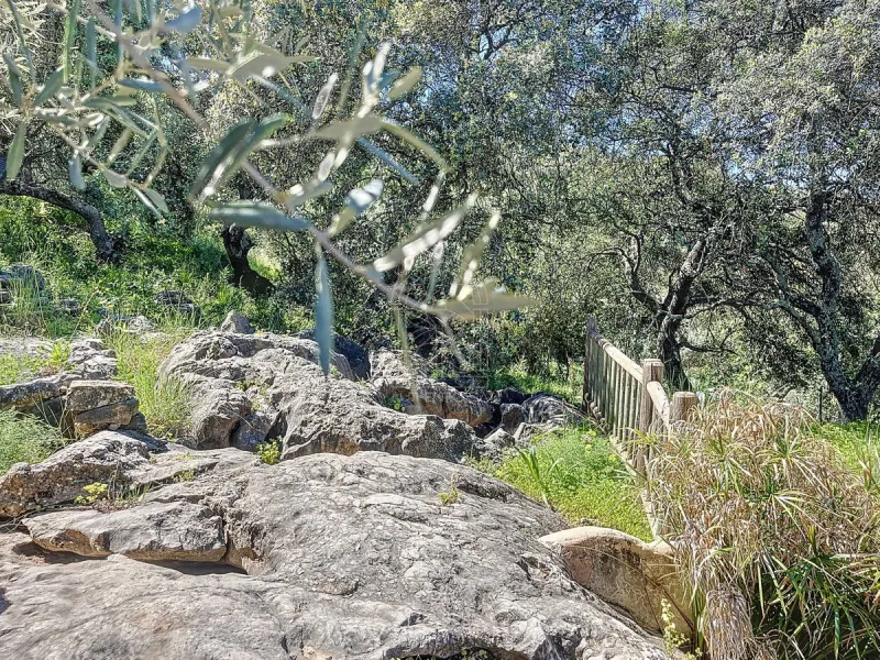 Discover Casa Feng Shui: A Unique Sanctuary in Comares