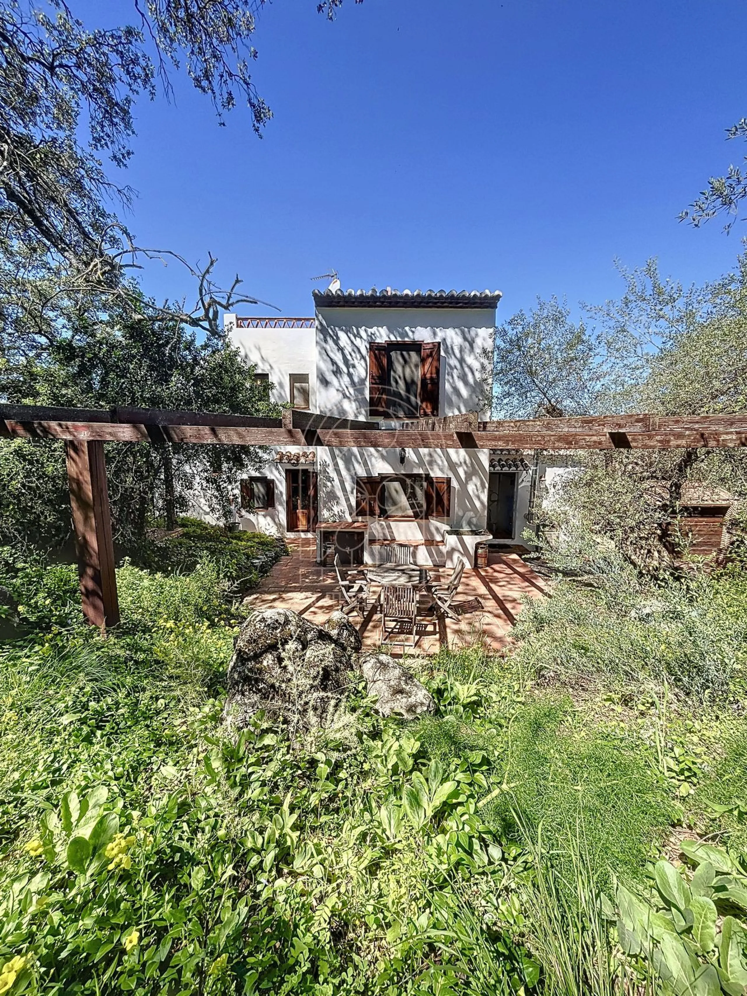 Discover Casa Feng Shui: A Unique Sanctuary in Comares