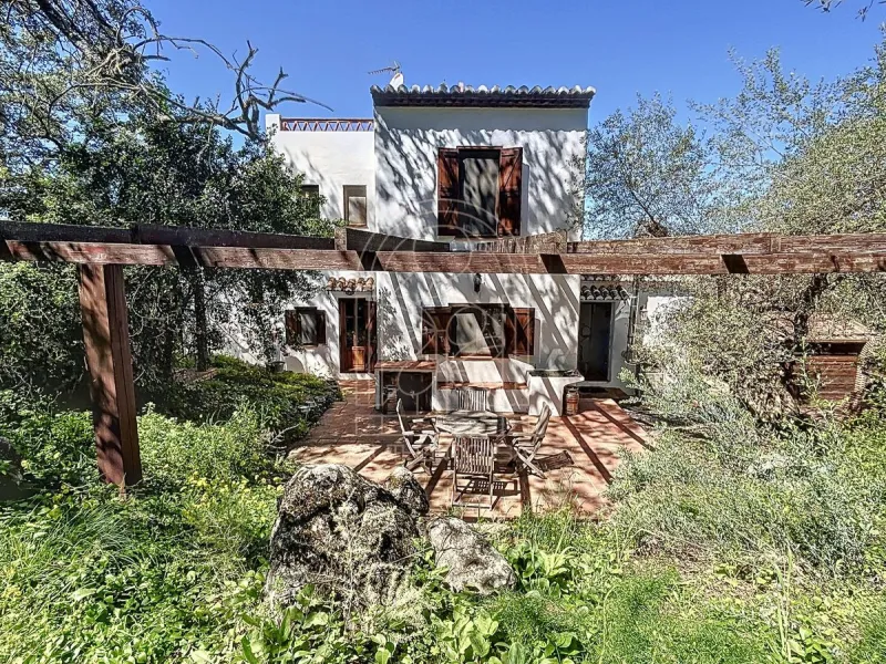 Discover Casa Feng Shui: A Unique Sanctuary in Comares