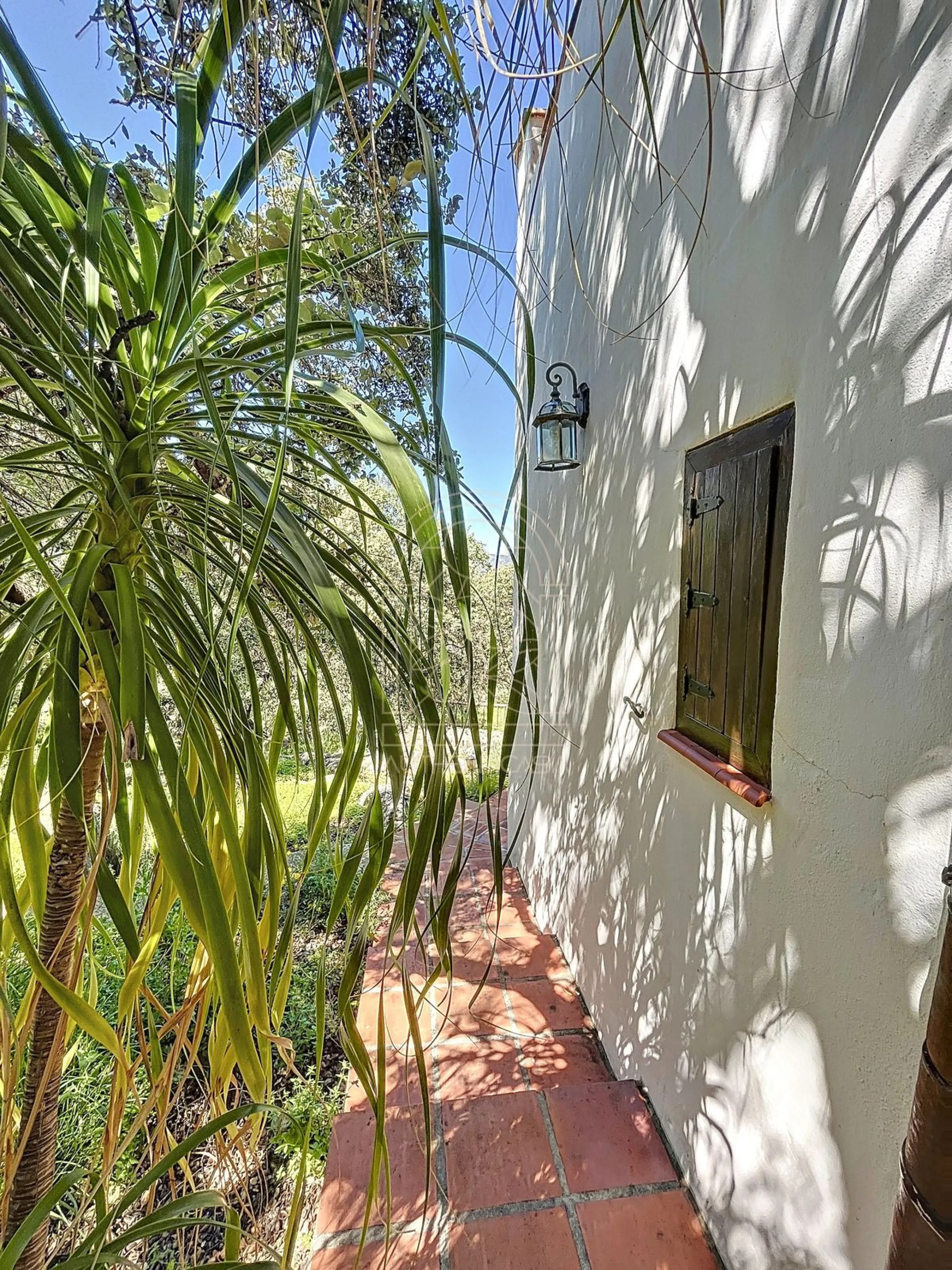 Discover Casa Feng Shui: A Unique Sanctuary in Comares