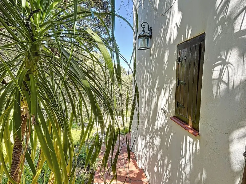 Discover Casa Feng Shui: A Unique Sanctuary in Comares
