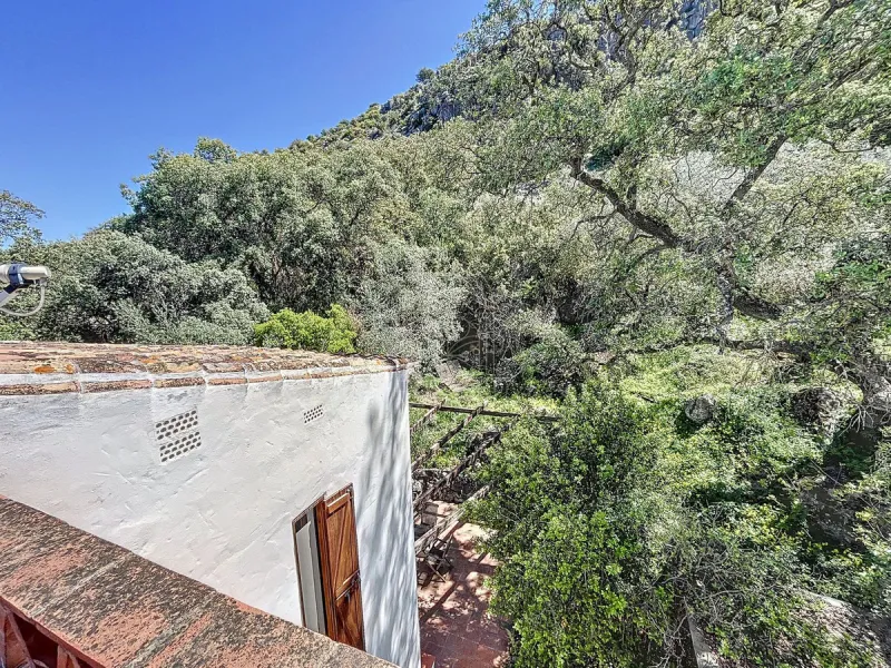 Discover Casa Feng Shui: A Unique Sanctuary in Comares