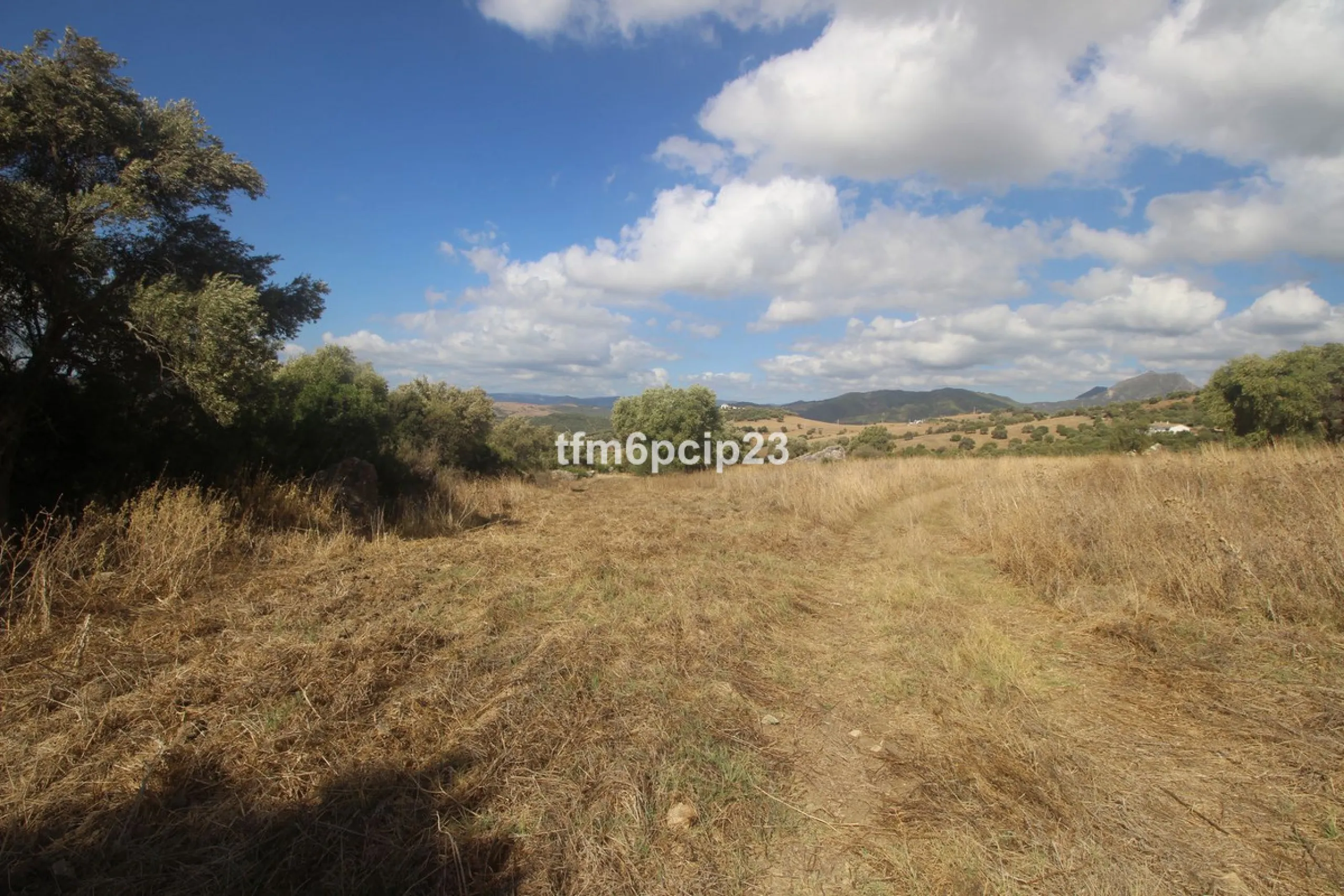 Plot - Land with Ruin в продаже в Casares, Málaga. Площадь участка 37570 м²