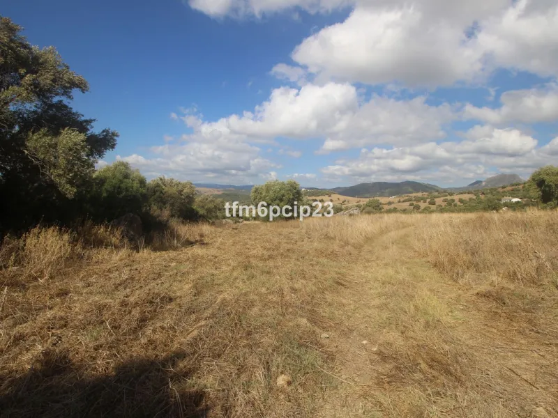 Plot - Land with Ruin в продаже в Casares, Málaga. Площадь участка 37570 м²