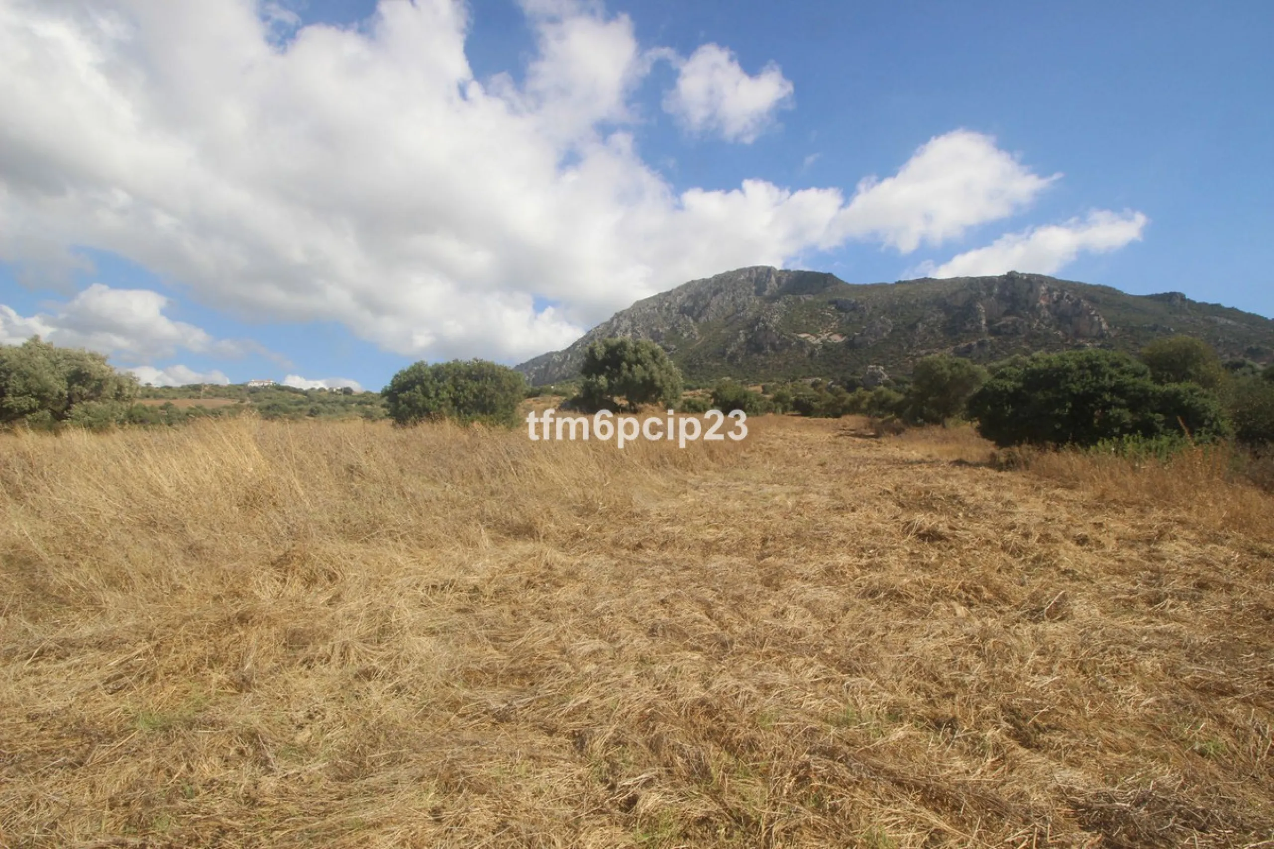Plot - Land with Ruin в продаже в Casares, Málaga. Площадь участка 37570 м²