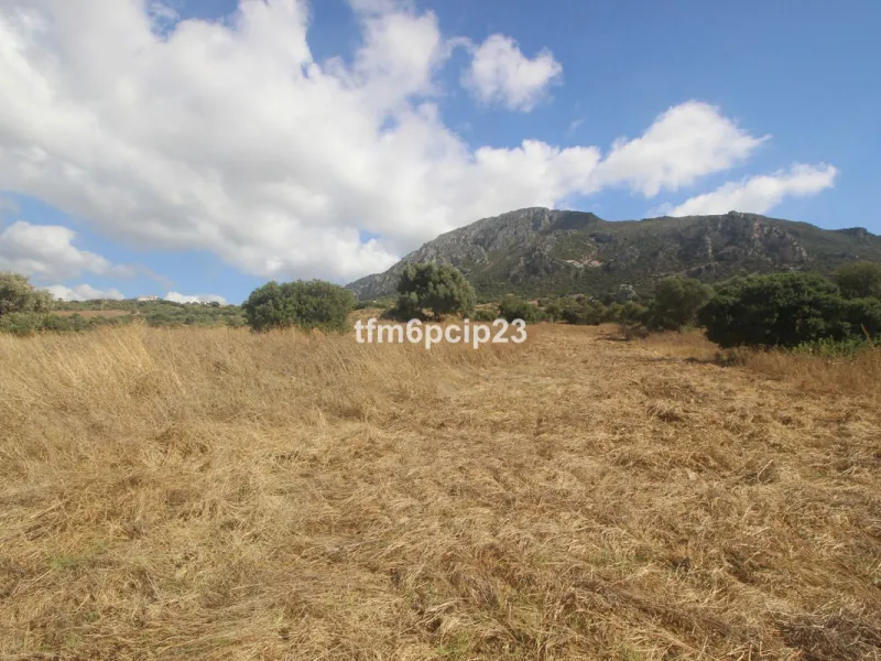 Plot - Land with Ruin в продаже в Casares, Málaga. Площадь участка 37570 м²