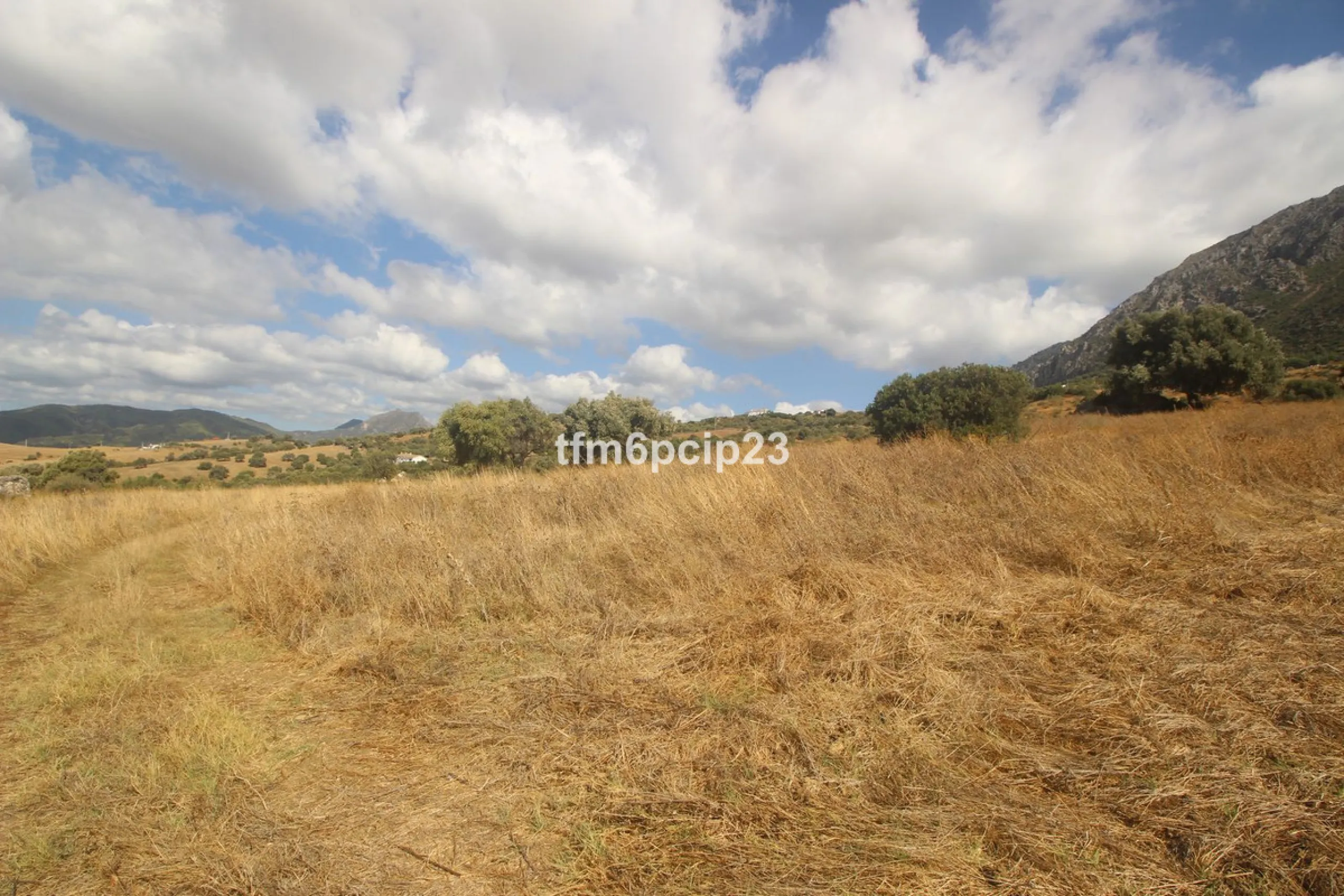 Plot - Land with Ruin в продаже в Casares, Málaga. Площадь участка 37570 м²