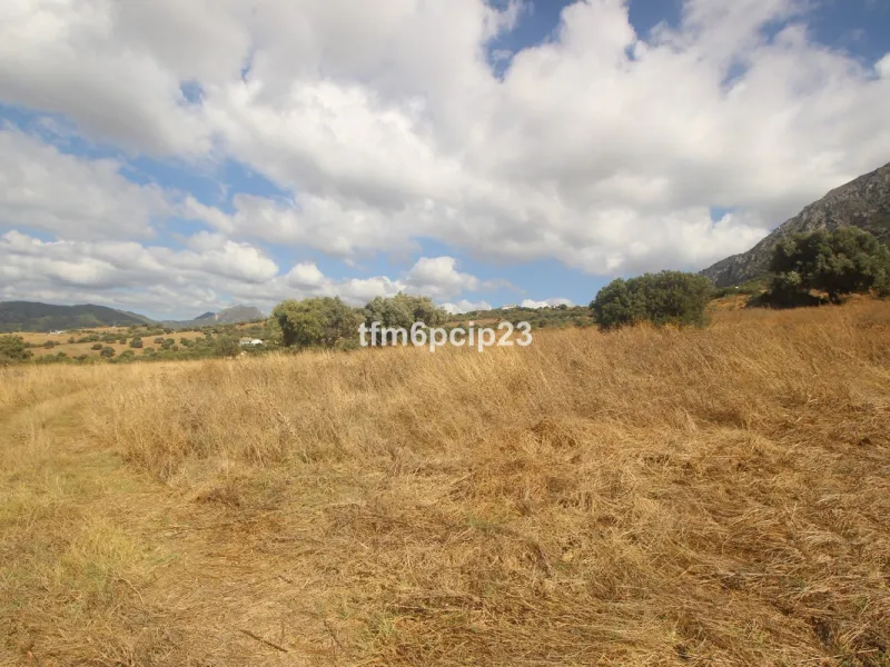 Plot - Land with Ruin в продаже в Casares, Málaga. Площадь участка 37570 м²