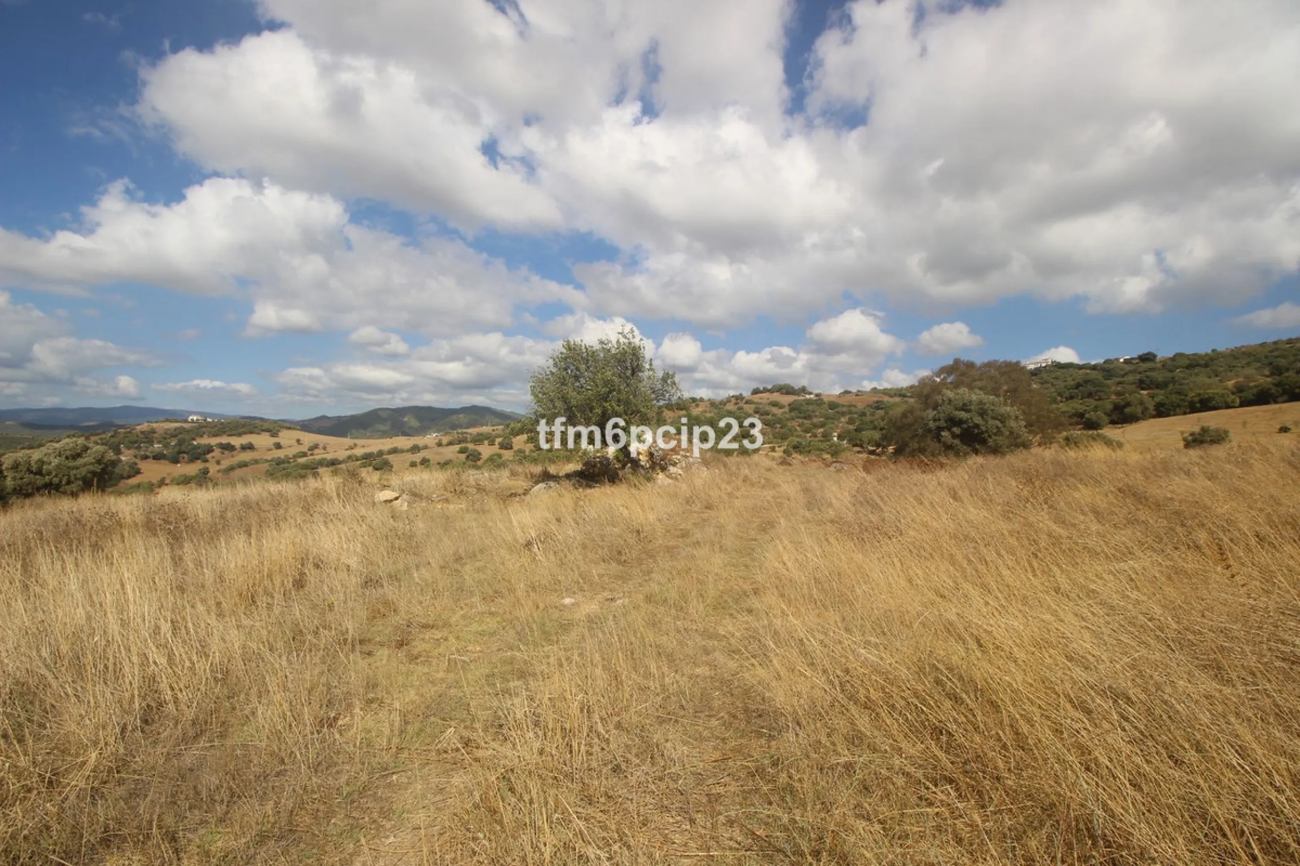 Plot - Land with Ruin в продаже в Casares, Málaga. Площадь участка 37570 м²