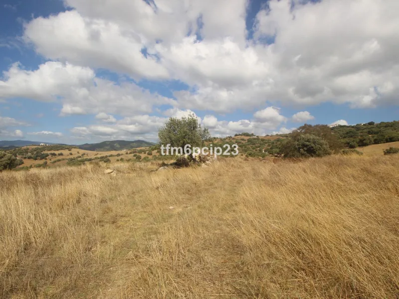 Plot - Land with Ruin в продаже в Casares, Málaga. Площадь участка 37570 м²