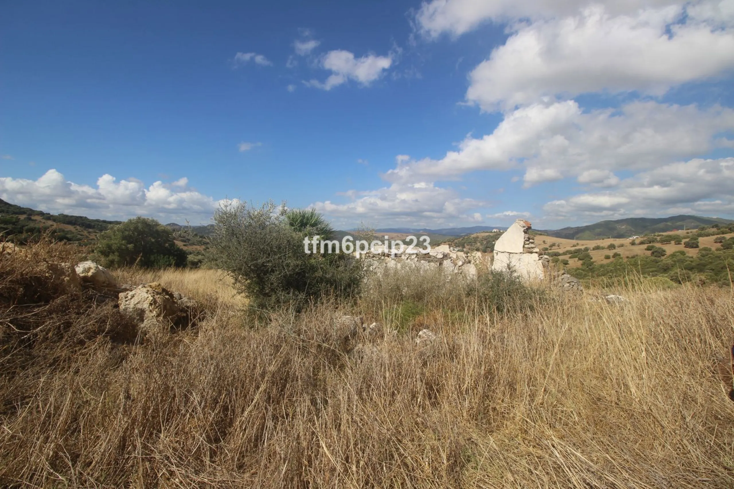 Plot - Land with Ruin в продаже в Casares, Málaga. Площадь участка 37570 м²