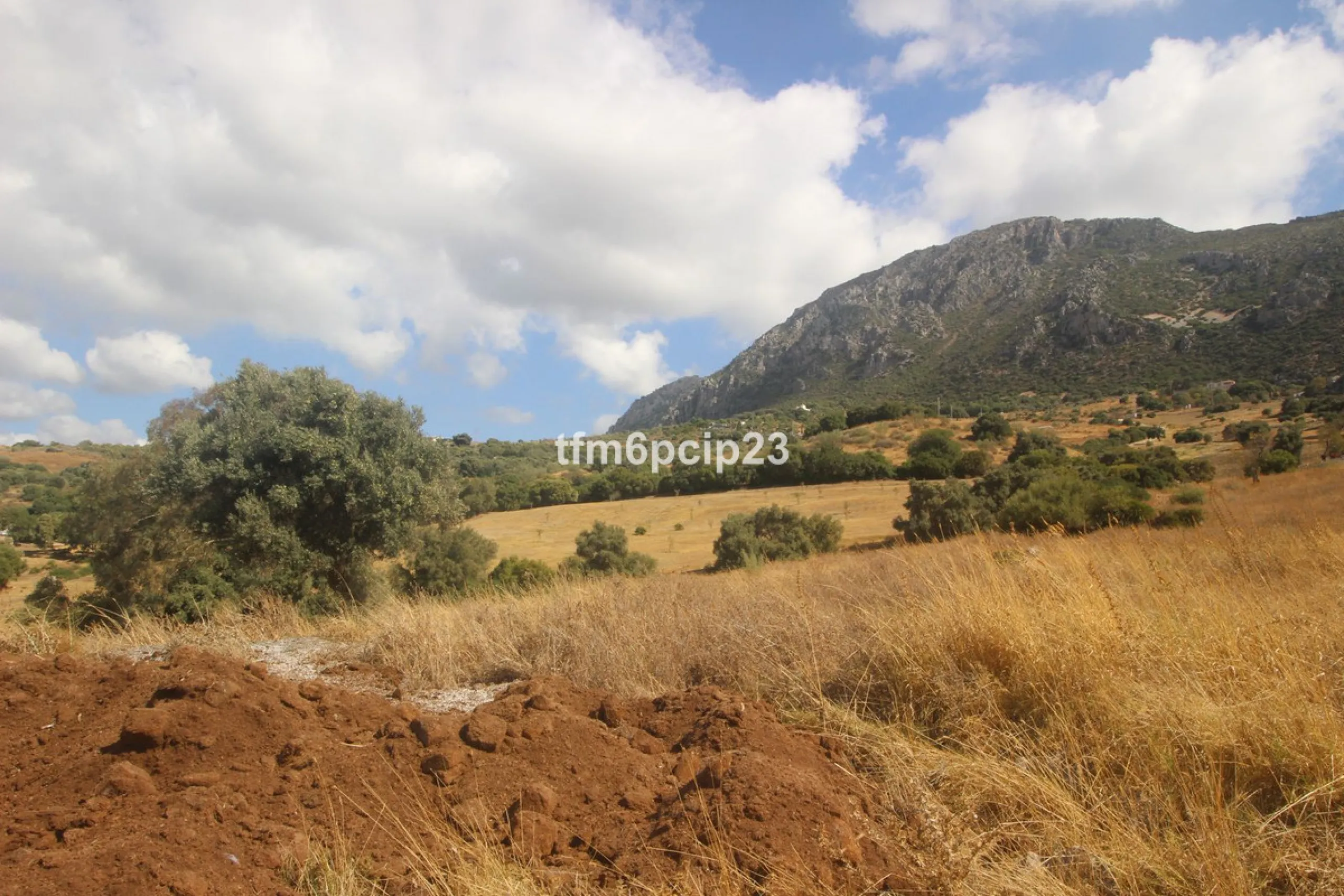 Plot - Land with Ruin в продаже в Casares, Málaga. Площадь участка 37570 м²