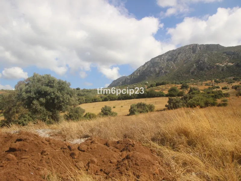 Plot - Land with Ruin в продаже в Casares, Málaga. Площадь участка 37570 м²