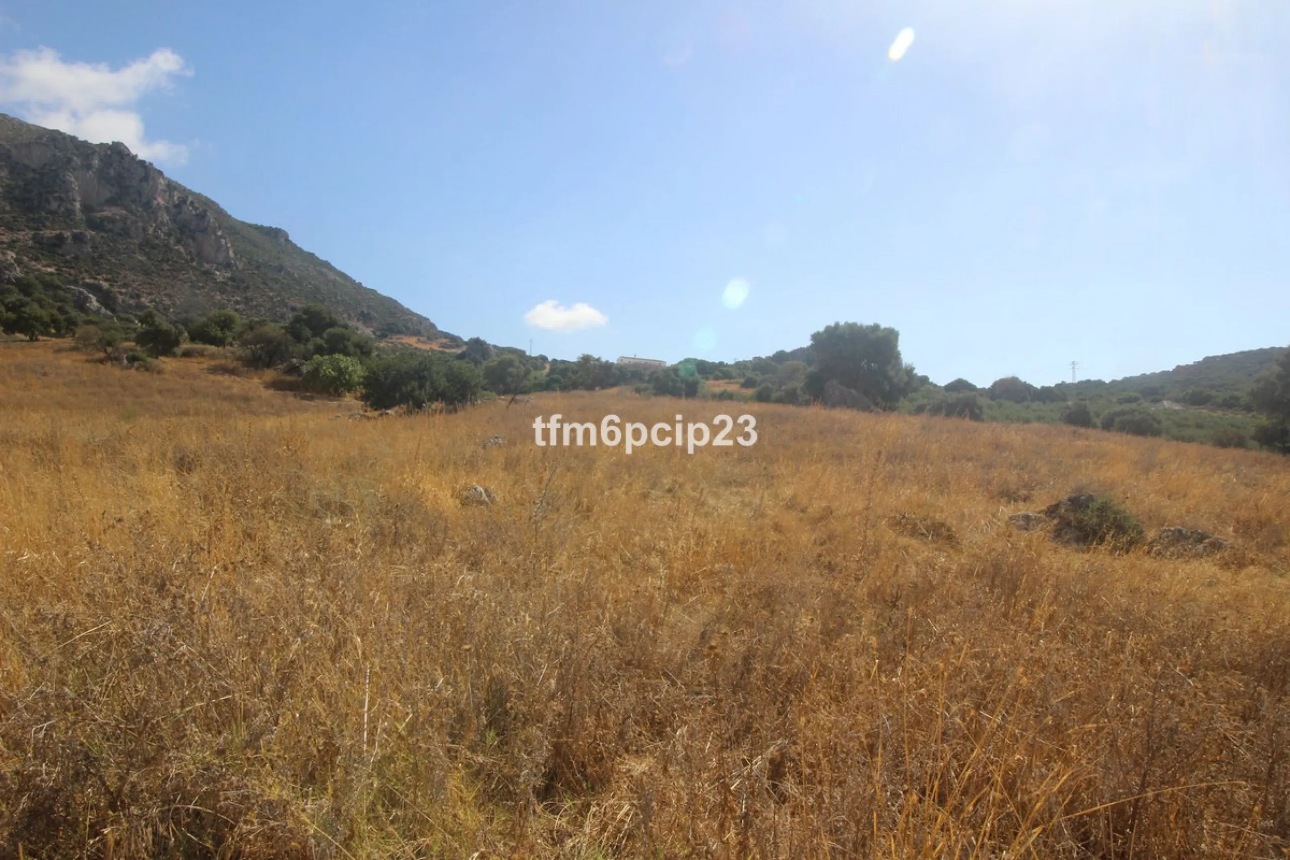 Plot - Land with Ruin в продаже в Casares, Málaga. Площадь участка 37570 м²