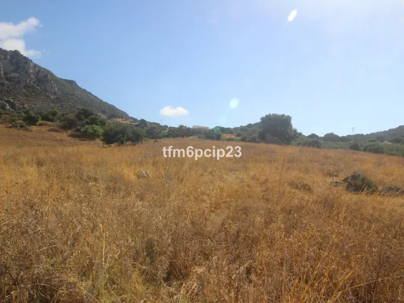 Plot - Land with Ruin в продаже в Casares, Málaga. Площадь участка 37570 м²