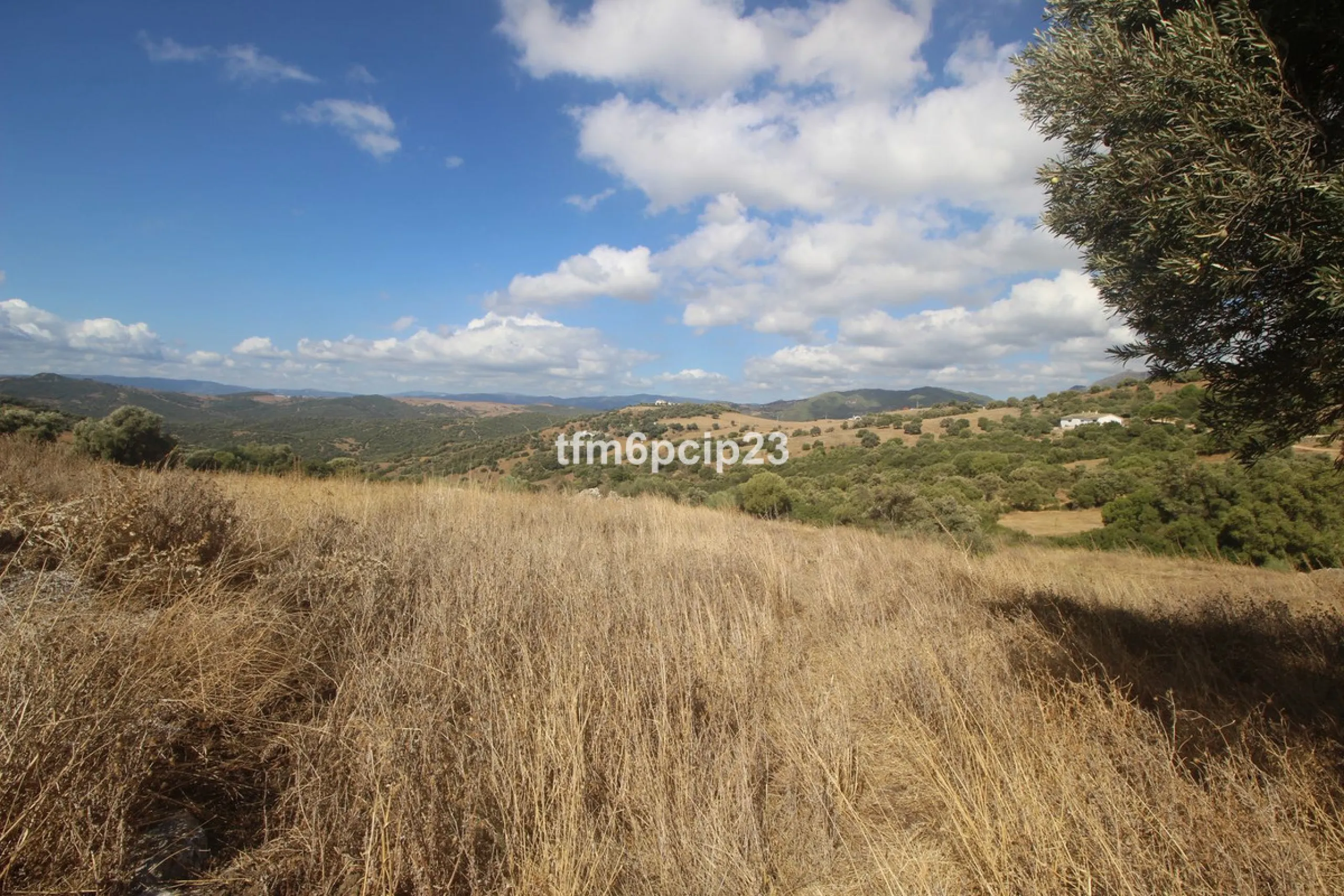 Plot - Land with Ruin в продаже в Casares, Málaga. Площадь участка 37570 м²