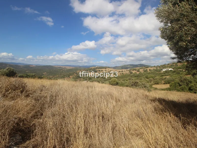 Plot - Land with Ruin в продаже в Casares, Málaga. Площадь участка 37570 м²