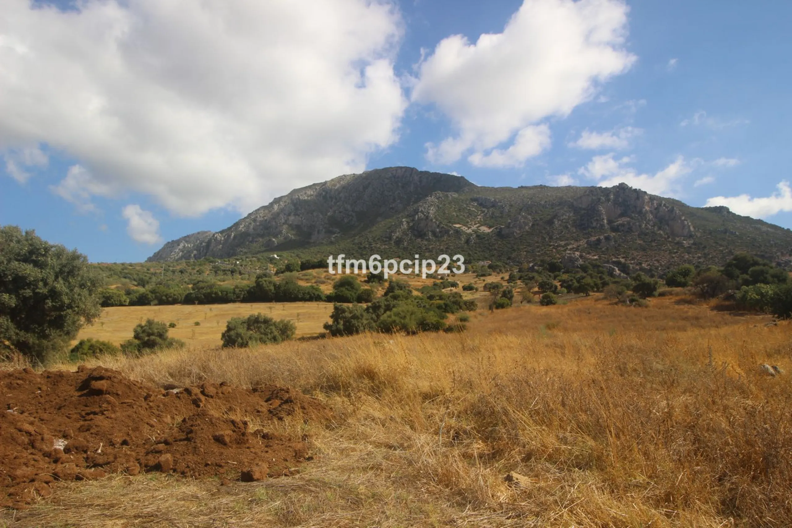 Plot - Land with Ruin в продаже в Casares, Málaga. Площадь участка 37570 м²