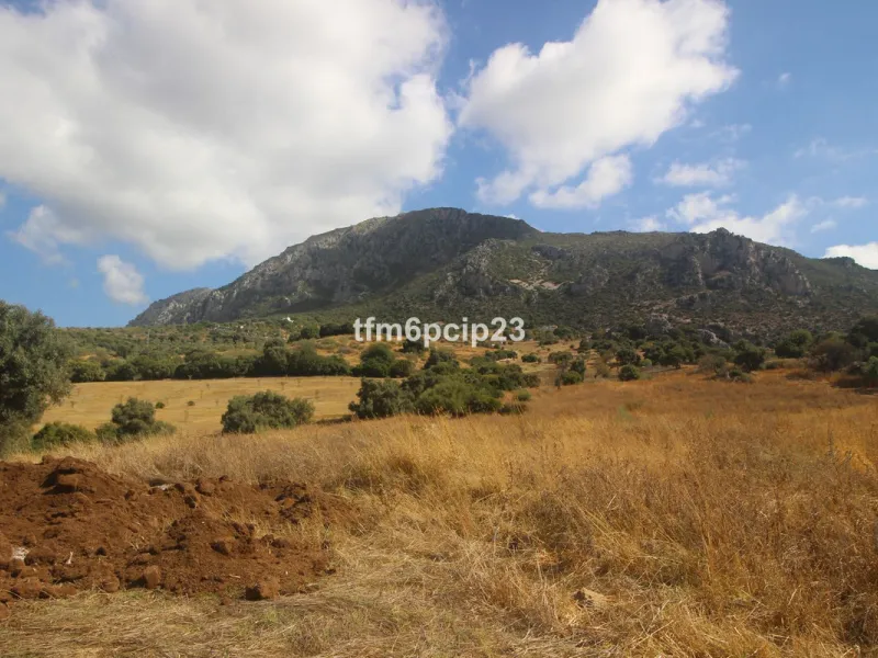 Plot - Land with Ruin в продаже в Casares, Málaga. Площадь участка 37570 м²