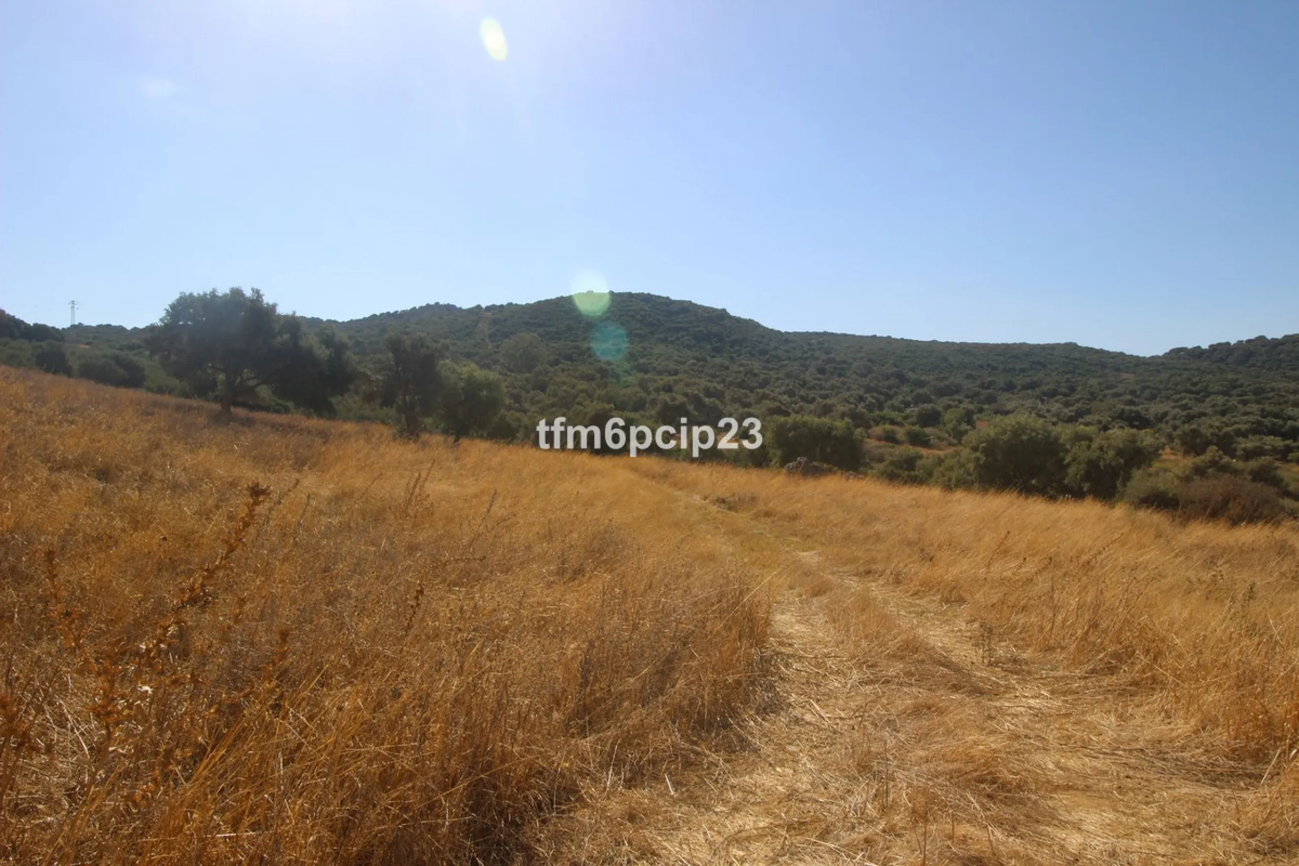 Plot - Land with Ruin в продаже в Casares, Málaga. Площадь участка 37570 м²