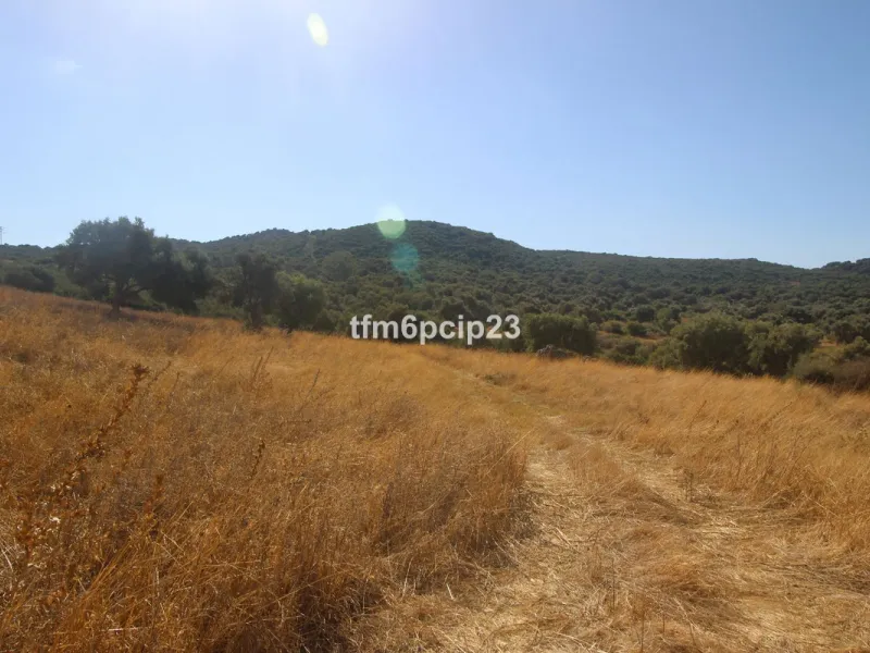 Plot - Land with Ruin в продаже в Casares, Málaga. Площадь участка 37570 м²