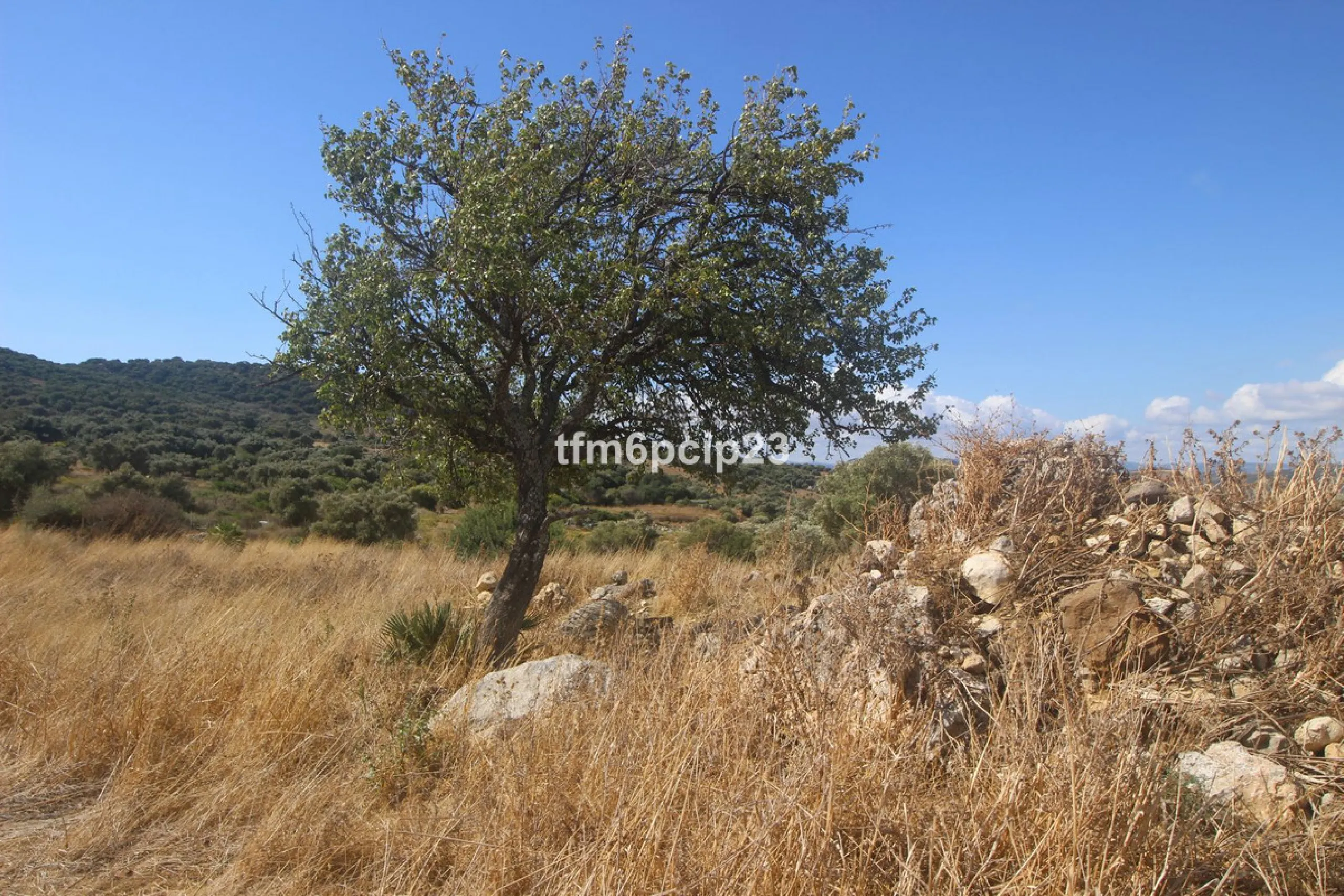 Plot - Land with Ruin в продаже в Casares, Málaga. Площадь участка 37570 м²