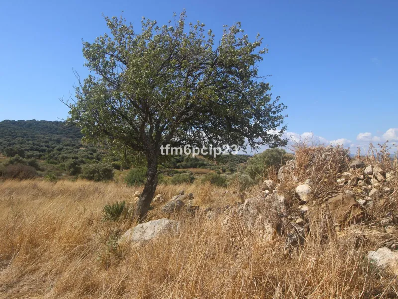 Plot - Land with Ruin в продаже в Casares, Málaga. Площадь участка 37570 м²