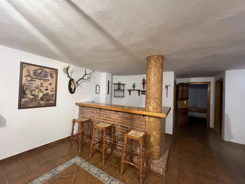 5 Bedroom villa in the heart of San Pedro de Alcántara, Marbella as a large traditional family home.