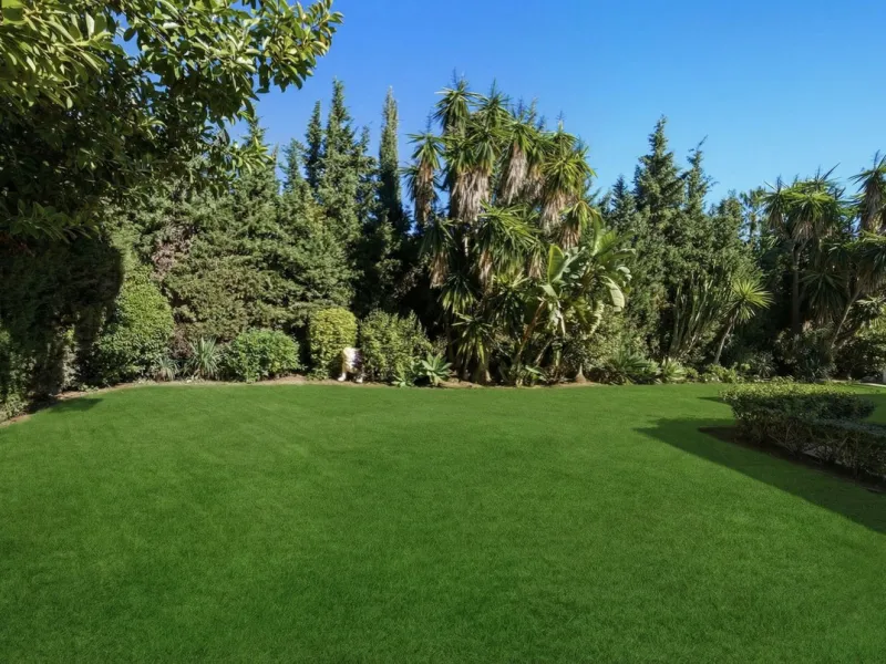 Spectacular villa just 300 metres from the beach