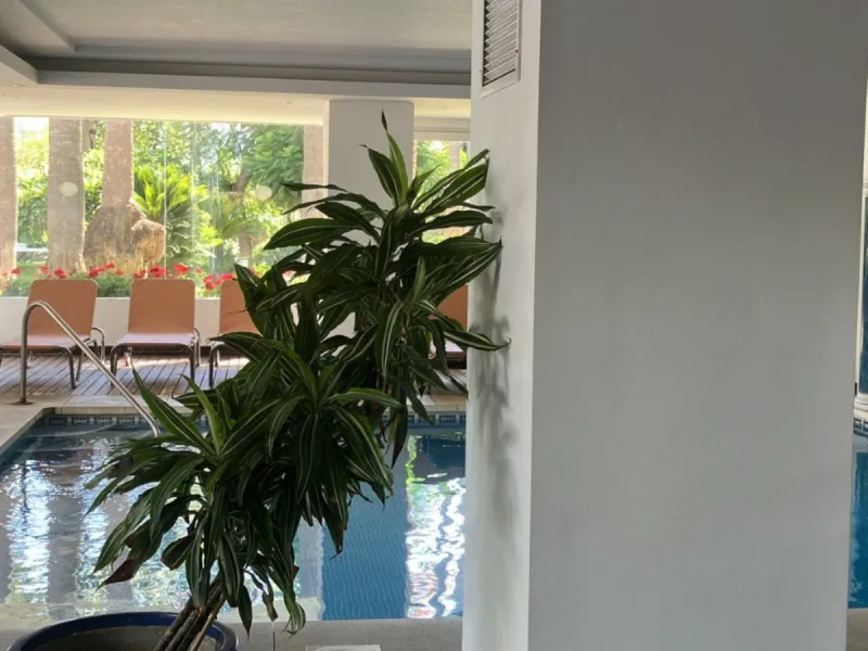 Located in one of the most prestigious residential complexes in Puerto Banús, this elegant ground-floor apartment perfectly blends luxury, comfort, and a prime location. Just 100 metres from the beach and within walking distance of the marina, fine dining