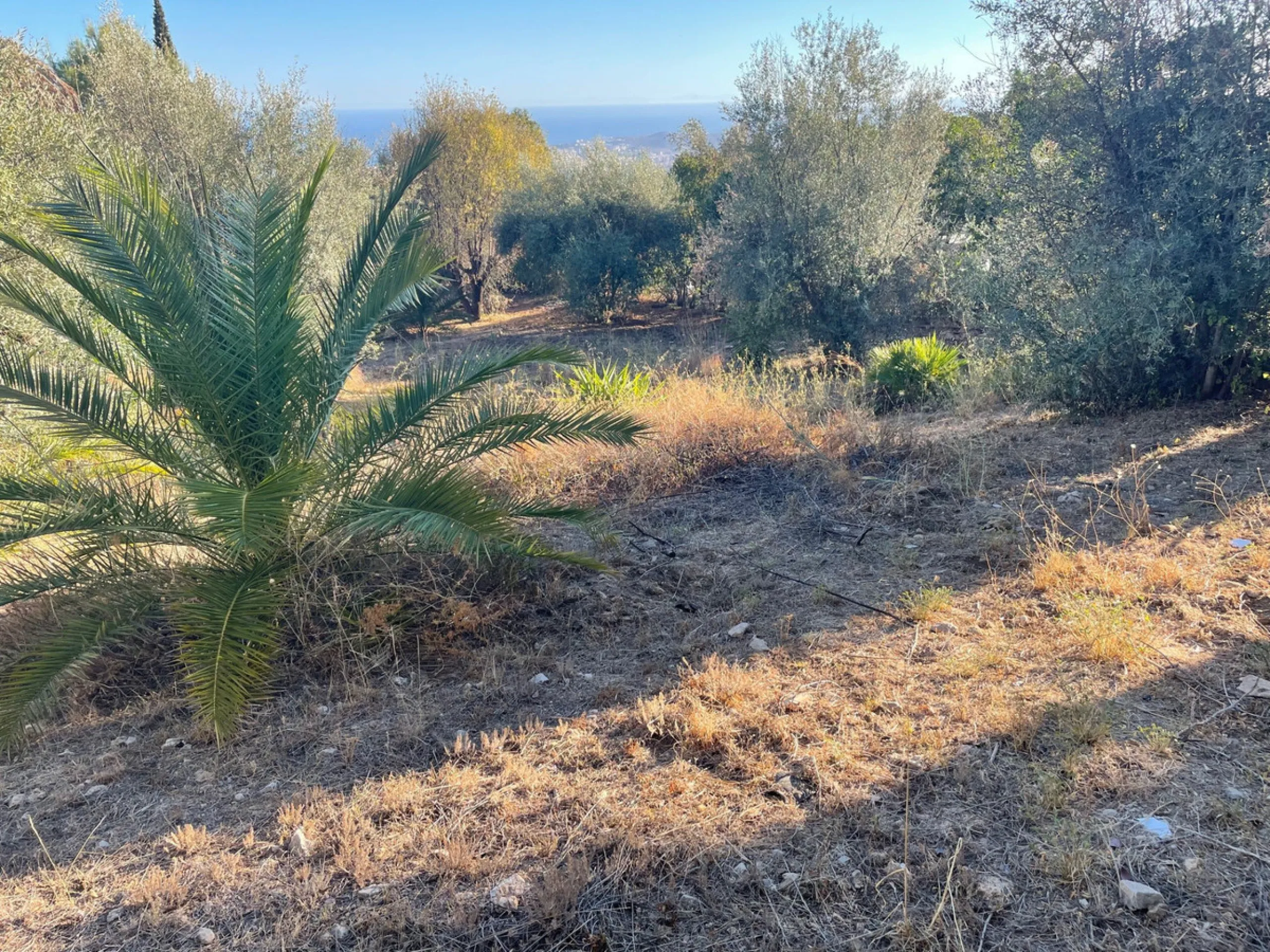 Discover this beautiful plot for sale in Mijas Pueblo, ideally located in the heart of the Andalusian mountains. With its south-facing orientation, this exceptional land offers plenty of sunshine and breathtaking sea, mountain, and panoramic views, a perf