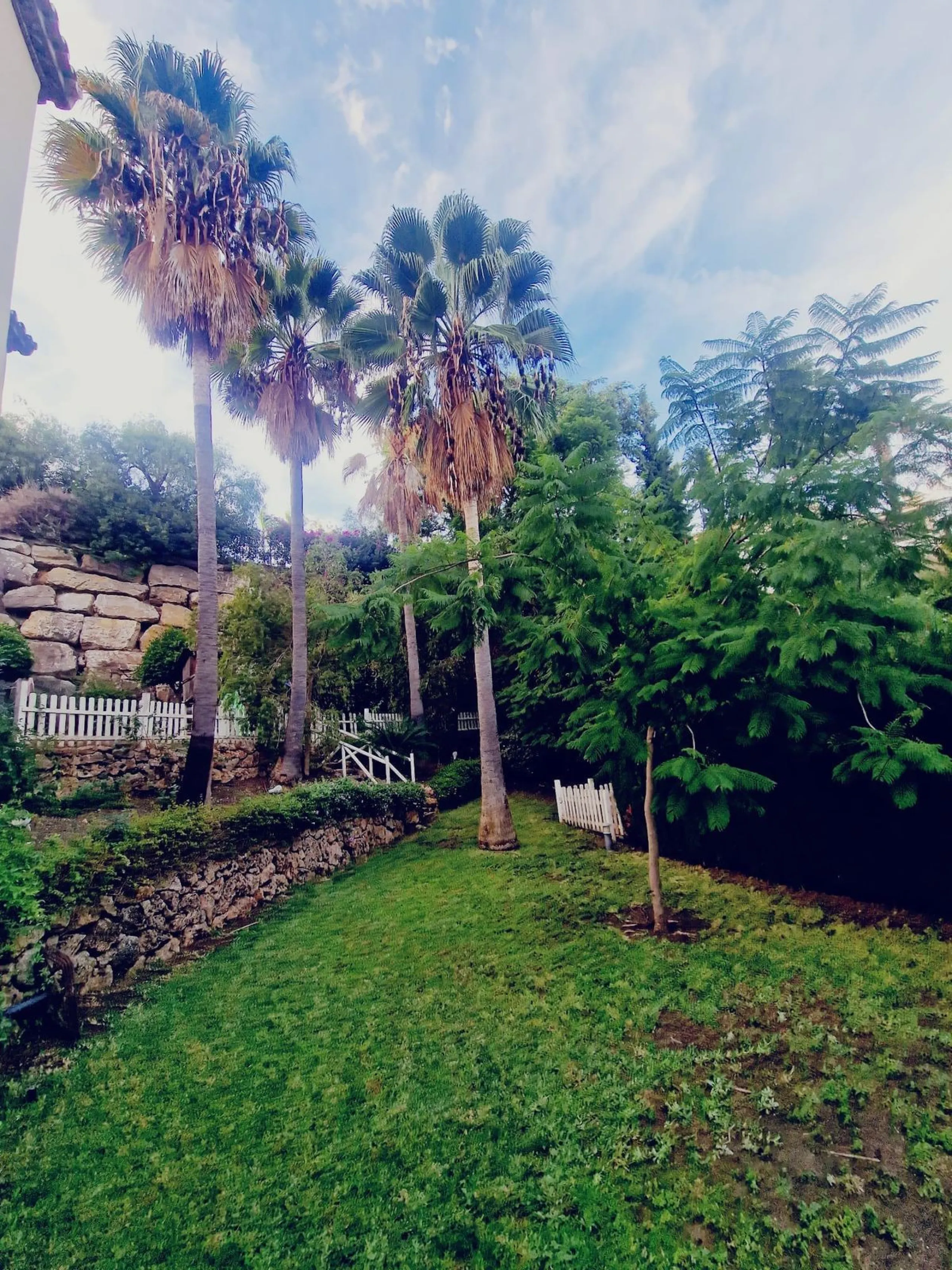 Investment Opportunity in El Paraíso, Benahavís