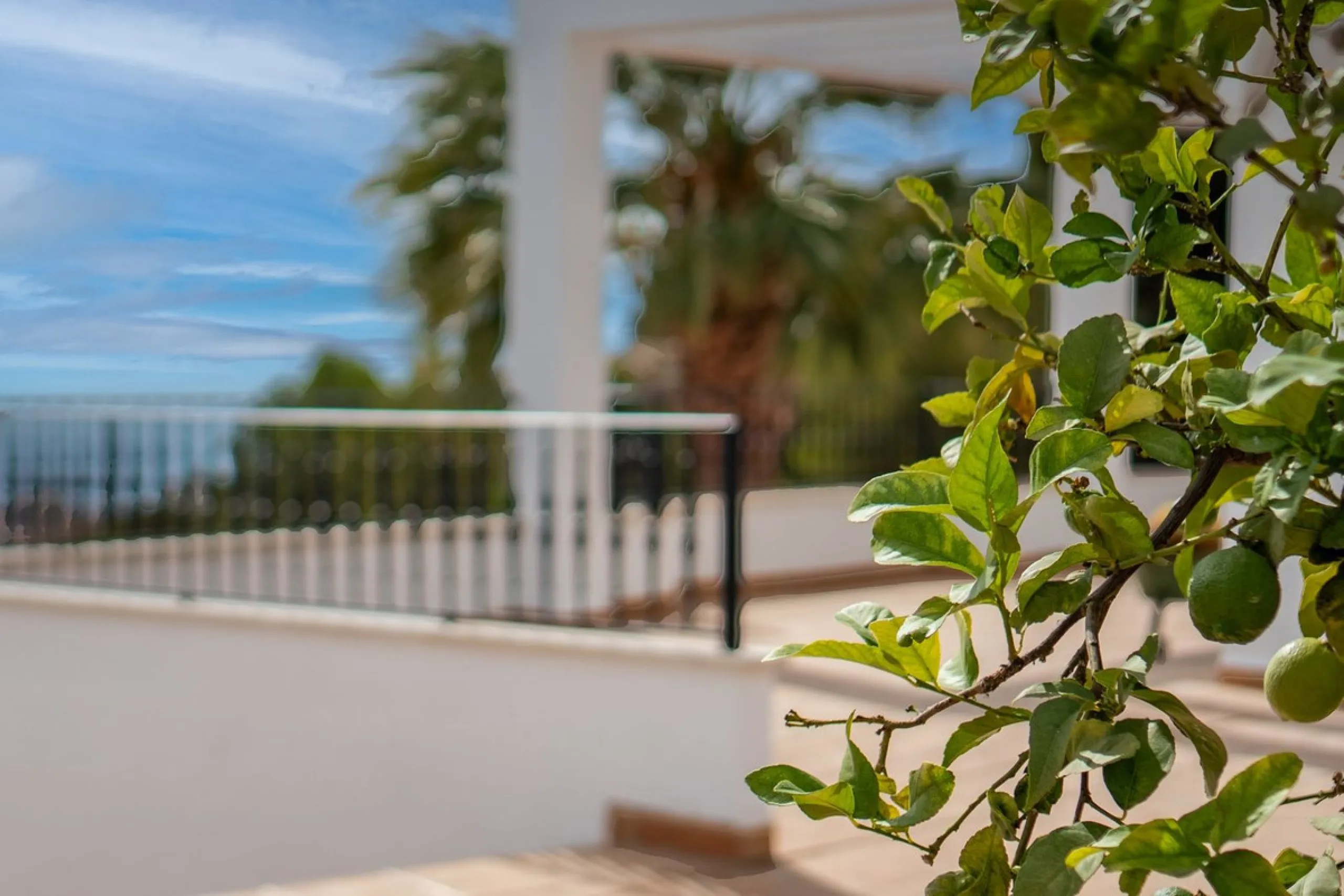 House - Detached Villa в продаже в Málaga, Málaga. В доме 5 спален и 4 ванных комнат. Площадь дома 350 м²
