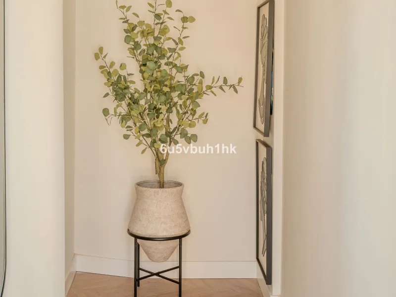 There is something very easy about this apartment. It sits on a bright corner in Estepona's historic centre, next to a plaza, with the life of the town just outside and the beach only a short walk away.