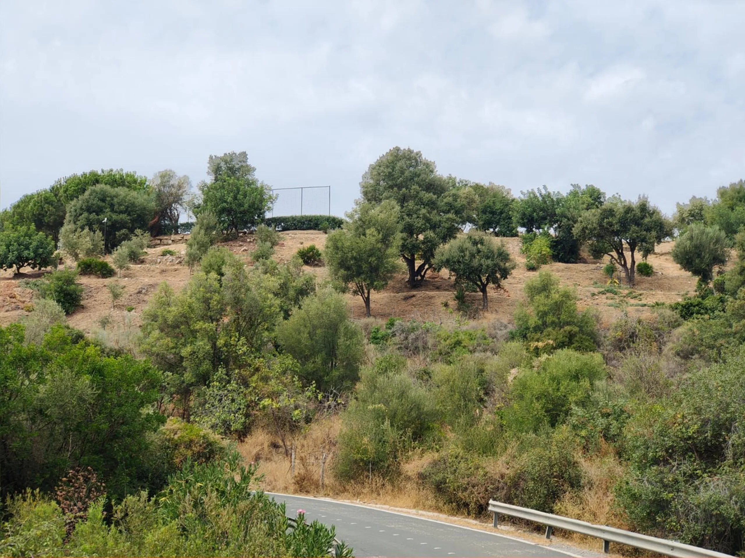 Plot - Land в продаже в Istán, Málaga. Площадь участка 150000 м²