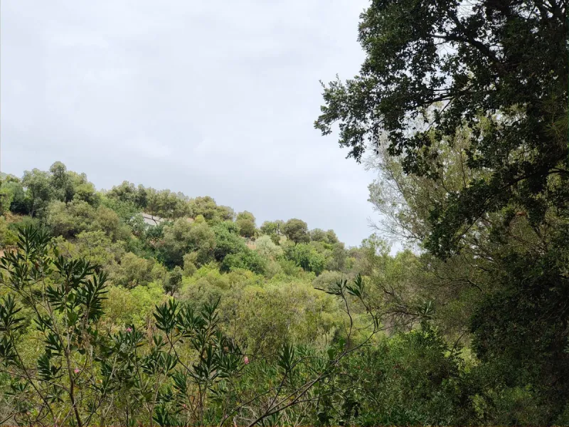 Plot - Land в продаже в Istán, Málaga. Площадь участка 150000 м²