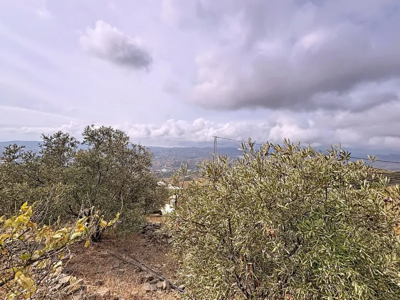 Unique finca in Atalayas Bajas, Vélez-Málaga, with stunning views of the sea and the mountains Spectacular 2-bedroom finca for sale, with a full bathroom with shower, pantry and open plan kitchen open to the living-dining room with fireplace, creating a c