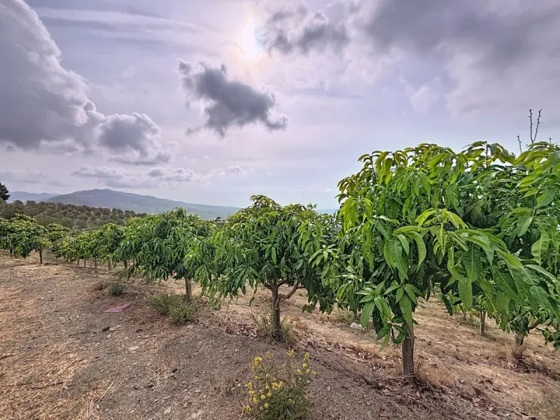 Unique finca in Atalayas Bajas, Vélez-Málaga, with stunning views of the sea and the mountains Spectacular 2-bedroom finca for sale, with a full bathroom with shower, pantry and open plan kitchen open to the living-dining room with fireplace, creating a c