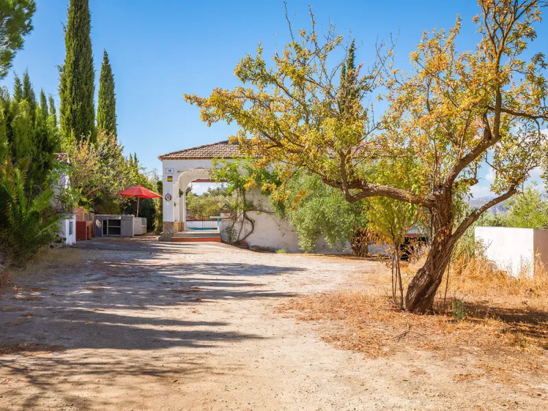 Charming rustic finca with olive trees just 2km from the centre of Ronda, featuring a spacious house of 186 built m², ideal for those seeking tranquility, space, and a connection with nature. The house is distributed over two levels. On the ground floor, 