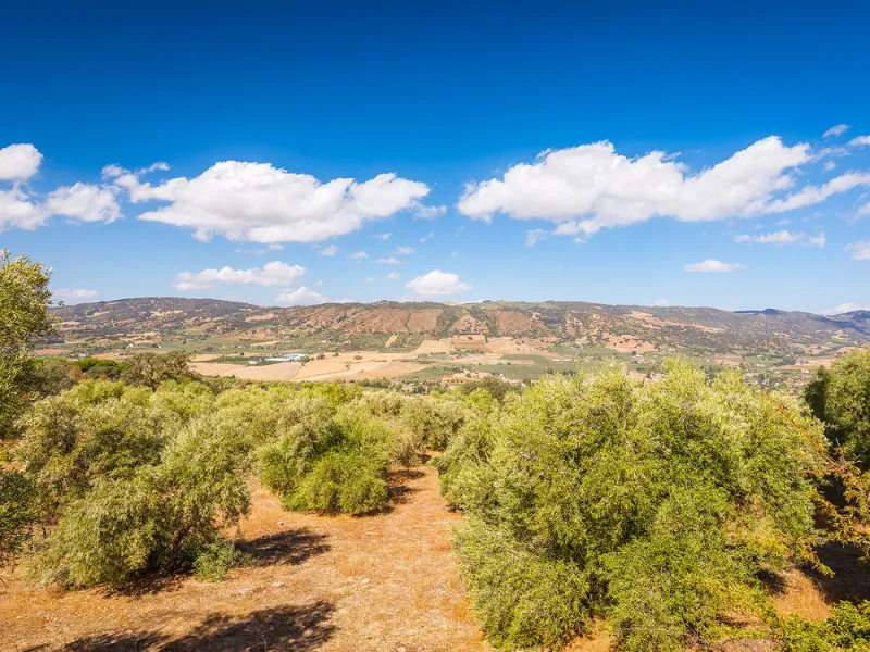 Charming rustic finca with olive trees just 2km from the centre of Ronda, featuring a spacious house of 186 built m², ideal for those seeking tranquility, space, and a connection with nature. The house is distributed over two levels. On the ground floor, 