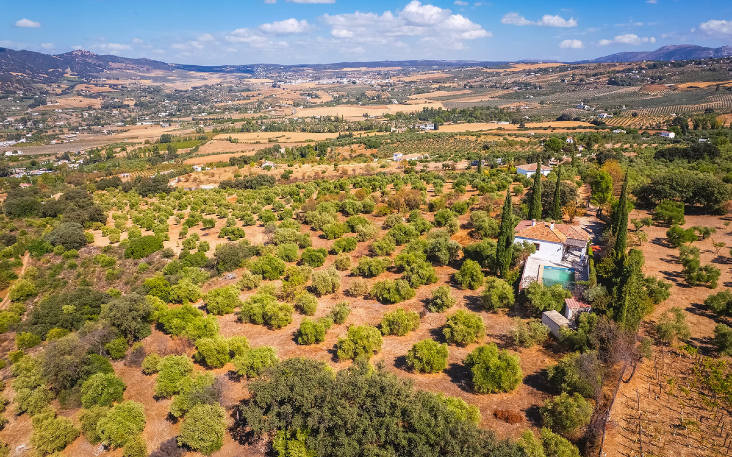 Charming rustic finca with olive trees just 2km from the centre of Ronda, featuring a spacious house of 186 built m², ideal for those seeking tranquility, space, and a connection with nature. The house is distributed over two levels. On the ground floor, 