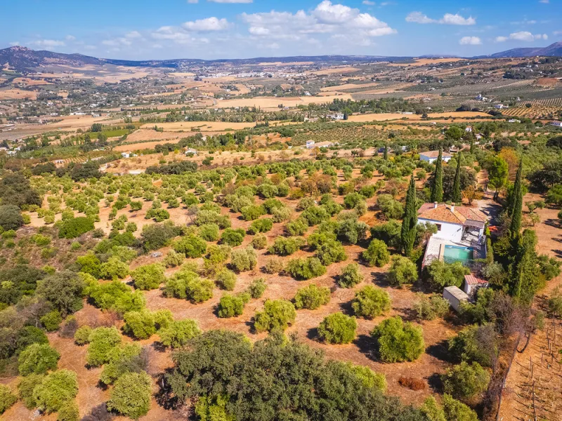 Charming rustic finca with olive trees just 2km from the centre of Ronda, featuring a spacious house of 186 built m², ideal for those seeking tranquility, space, and a connection with nature. The house is distributed over two levels. On the ground floor, 