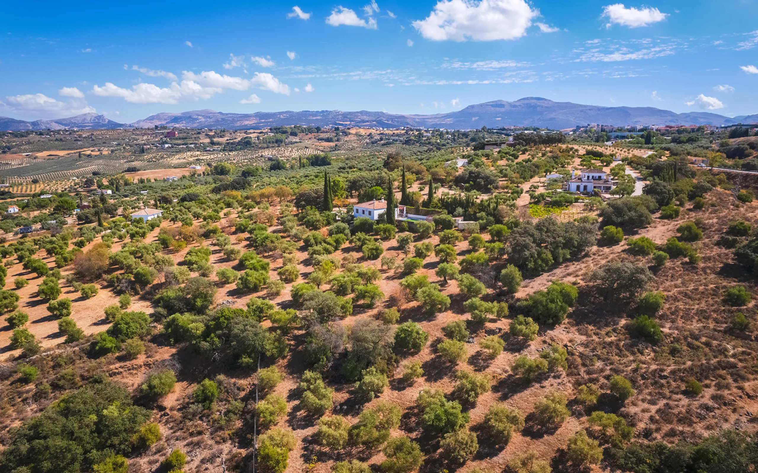 Charming rustic finca with olive trees just 2km from the centre of Ronda, featuring a spacious house of 186 built m², ideal for those seeking tranquility, space, and a connection with nature. The house is distributed over two levels. On the ground floor, 