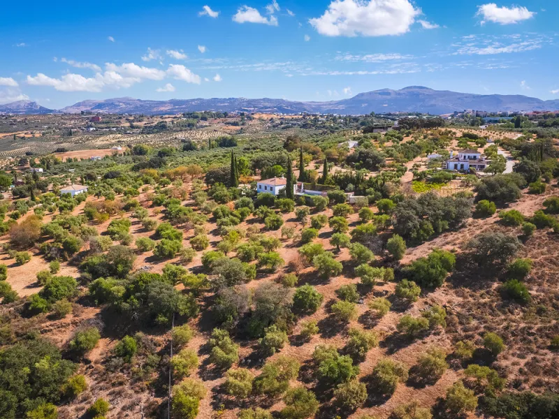 Charming rustic finca with olive trees just 2km from the centre of Ronda, featuring a spacious house of 186 built m², ideal for those seeking tranquility, space, and a connection with nature. The house is distributed over two levels. On the ground floor, 